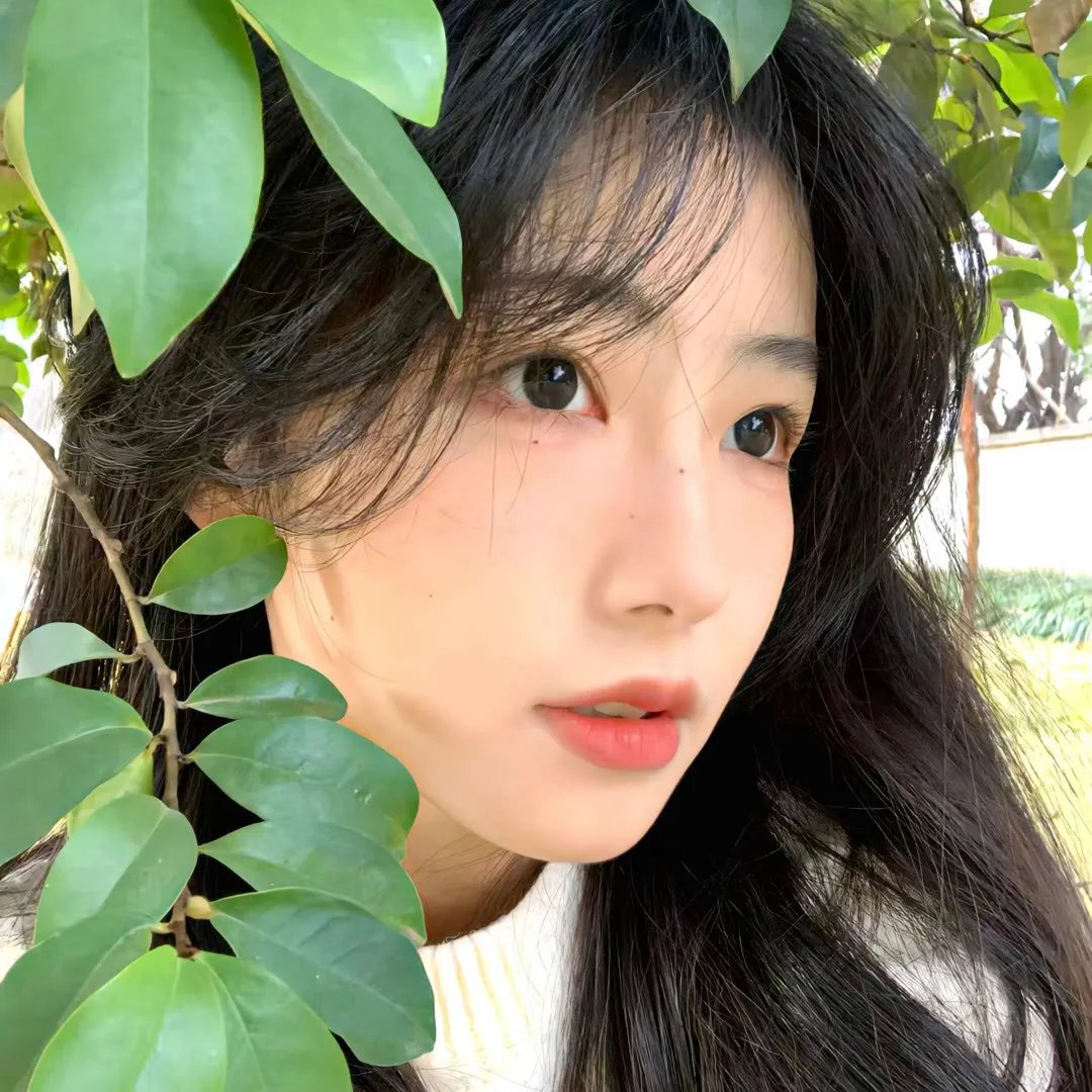 噩梦森林
